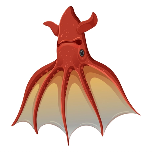 Under the Sea Theme Vampire Squid Transparent Sticker